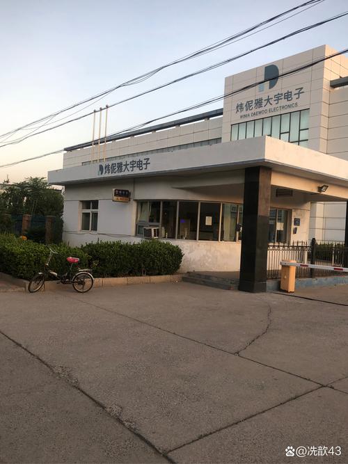 天津炜尼雅大宇电子